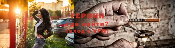 гидра Елабуга