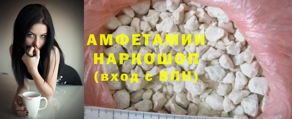 гидра Елабуга