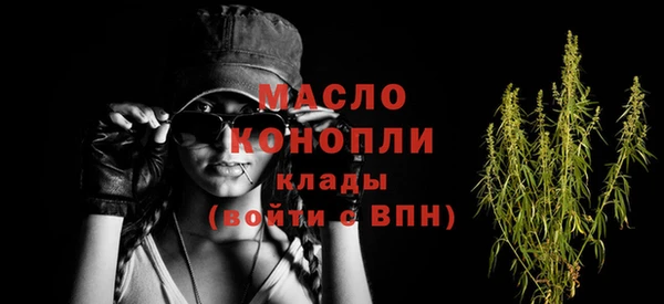 гидра Елабуга