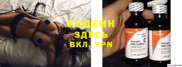 гидра Елабуга