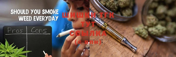 гашик Ельня