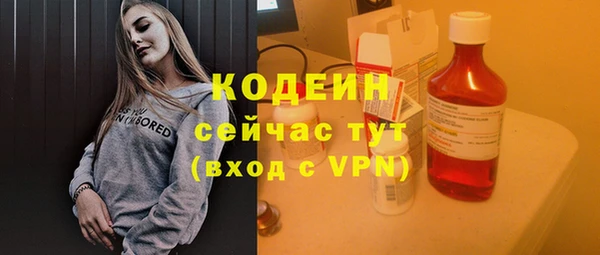гашик Ельня