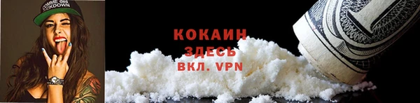 гидра Елабуга