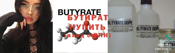 гашик Ельня