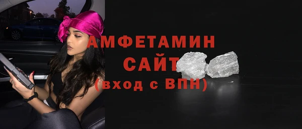 гашик Ельня