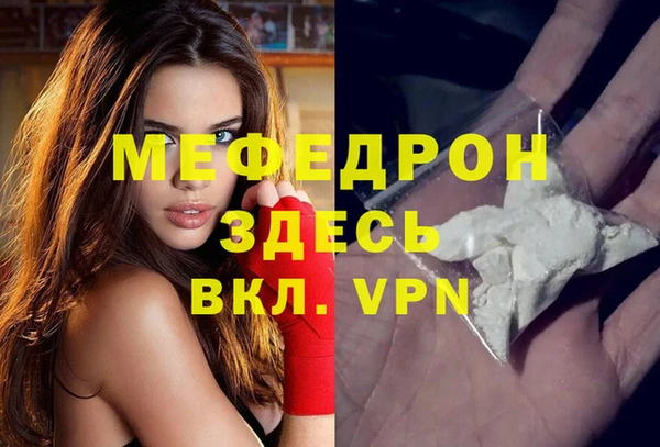 гашик Ельня