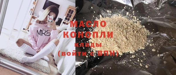 гашик Ельня