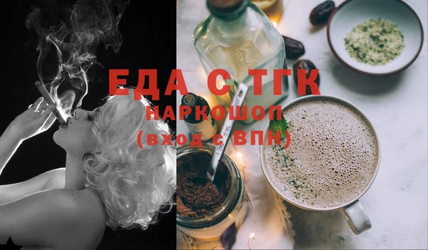 гашик Ельня