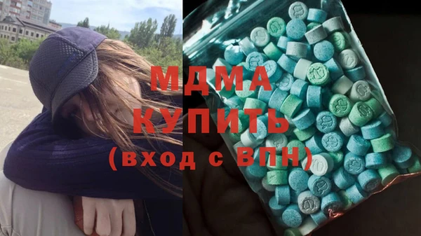 гашик Ельня