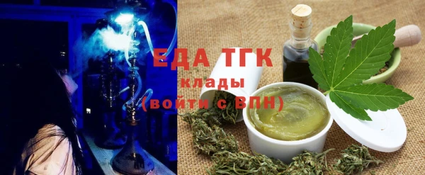 гашик Ельня