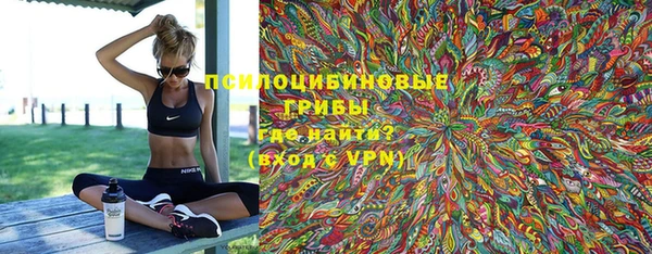 ALPHA PVP Елизово