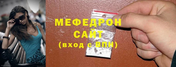 гашик Ельня