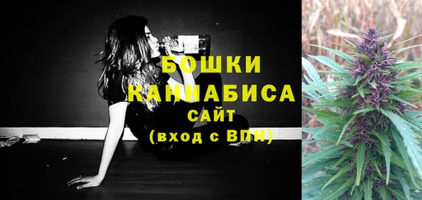 гашик Ельня