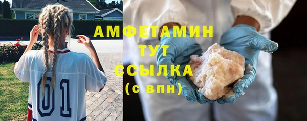 гидра Елабуга
