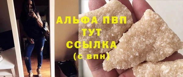 гашик Ельня