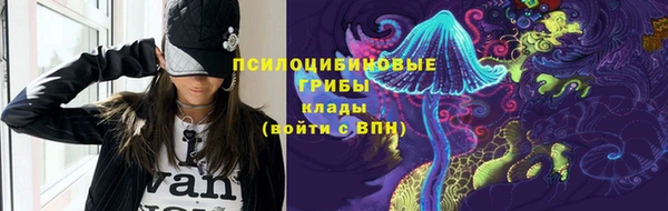 гидра Елабуга